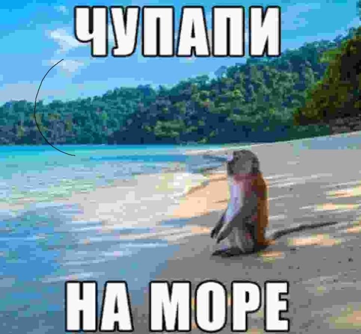 Чупапи муняню Мем