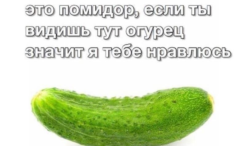 Смешной огурец
