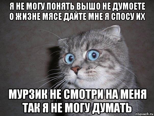 Ну я подумаю кот Мем