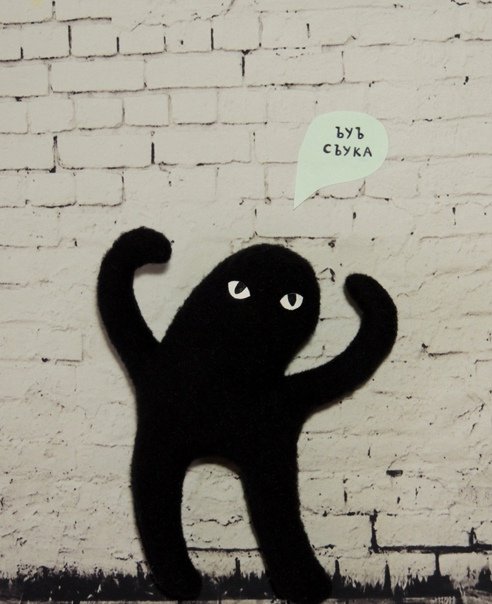 Черный кот Мем