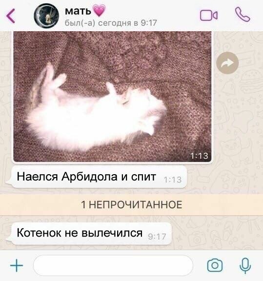 Наелся и спит котенок