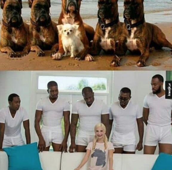 Пайпер Перри 5 негров Пайпер негров