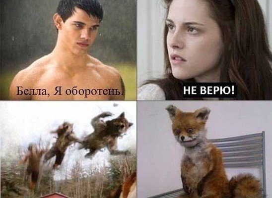 Сумерки оборотни