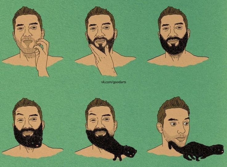 Борода юмор