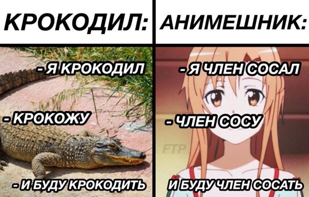 Тупой анимешник