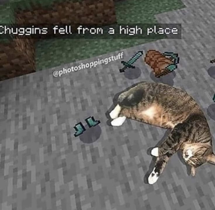 Мемы с котами майнкрафт