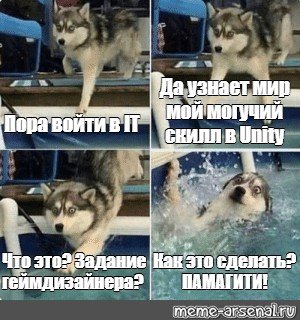 Собака падает в бассейн Мем