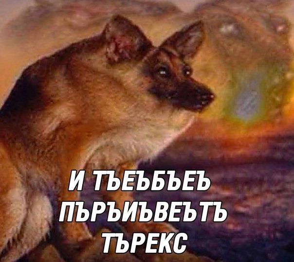 Макс собака Мем