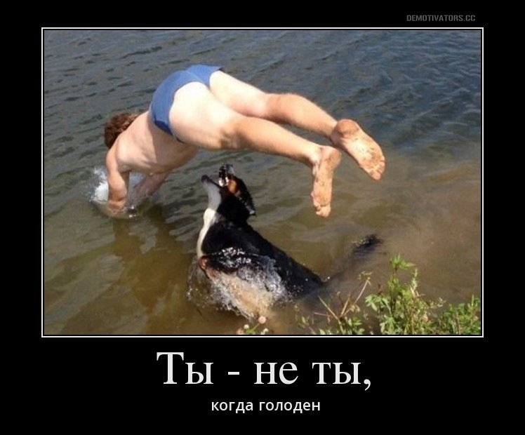 Смешные падения в воду