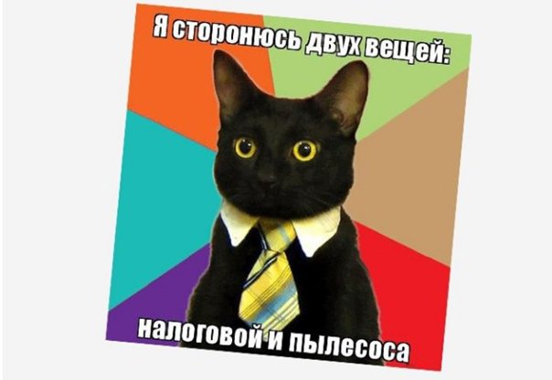 Деловой кот мемы