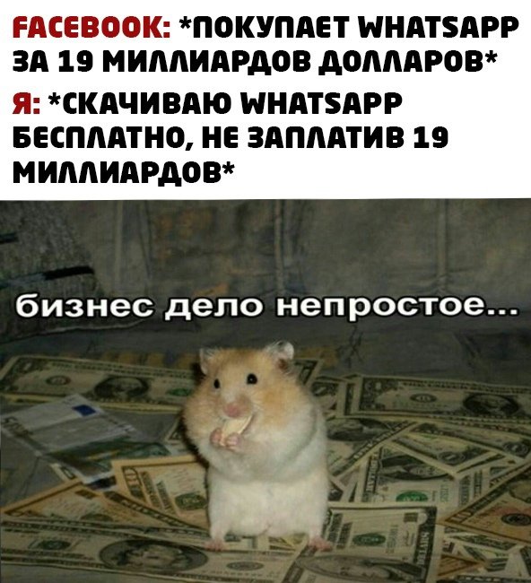 Кот бизнес дело непростое