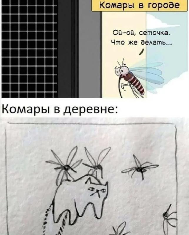 Комары мемы