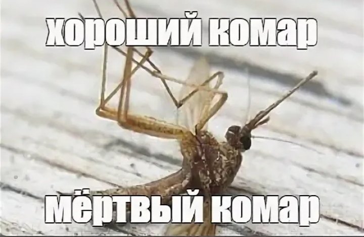 СБЭУ комар Мем