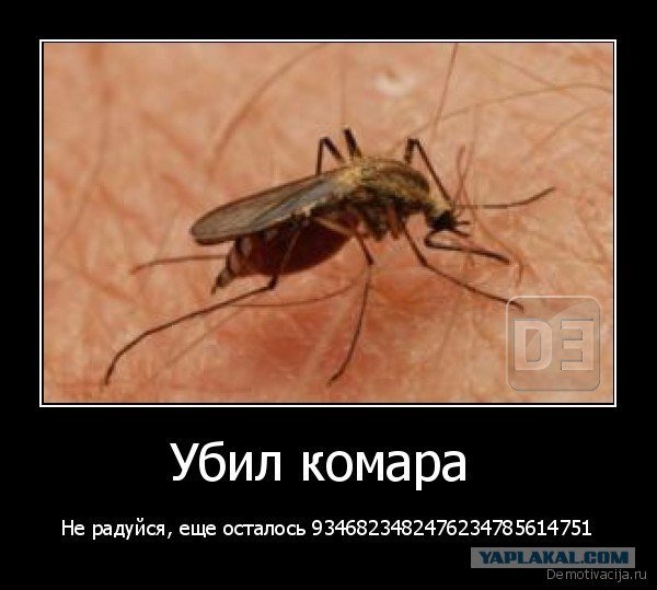 Шутки про комаров