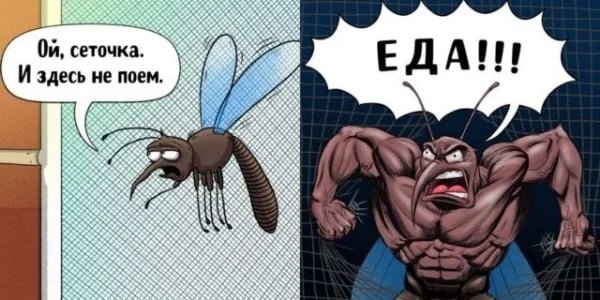 Комар прикольные картинки