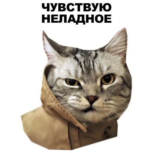 Стикеры телеграмм коты мемы