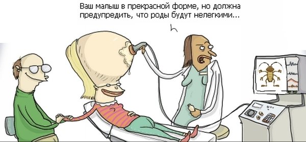 Врач УЗИ прикол