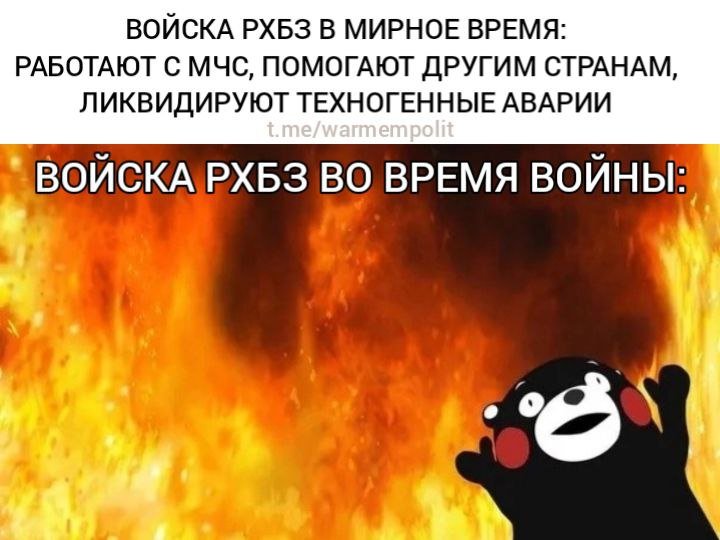 Медведь в огне