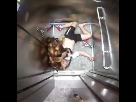 Костюм паука для собаки