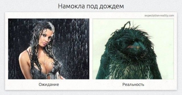 Девушка ожидание реальность