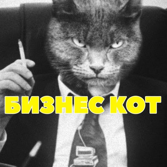 Кот в пиджаке