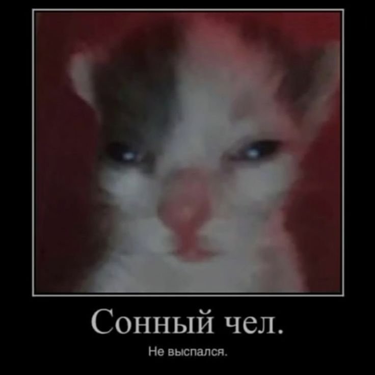 Сонный чел не выспался Мем