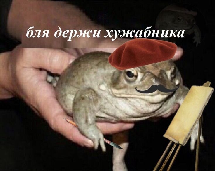 Смешная жаба