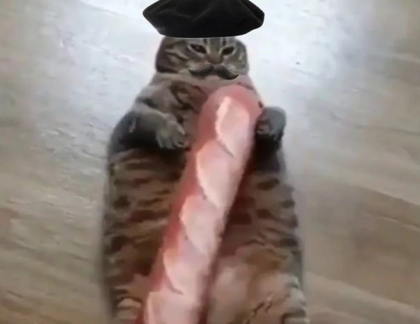 Французский кот с багетом