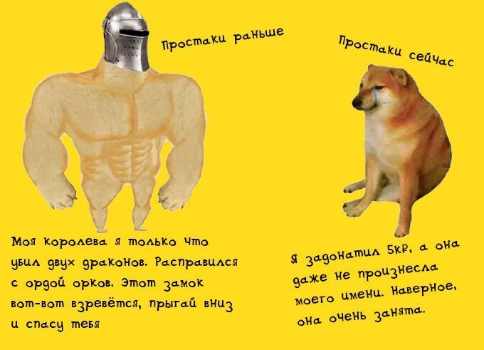 Мем собаки раньше