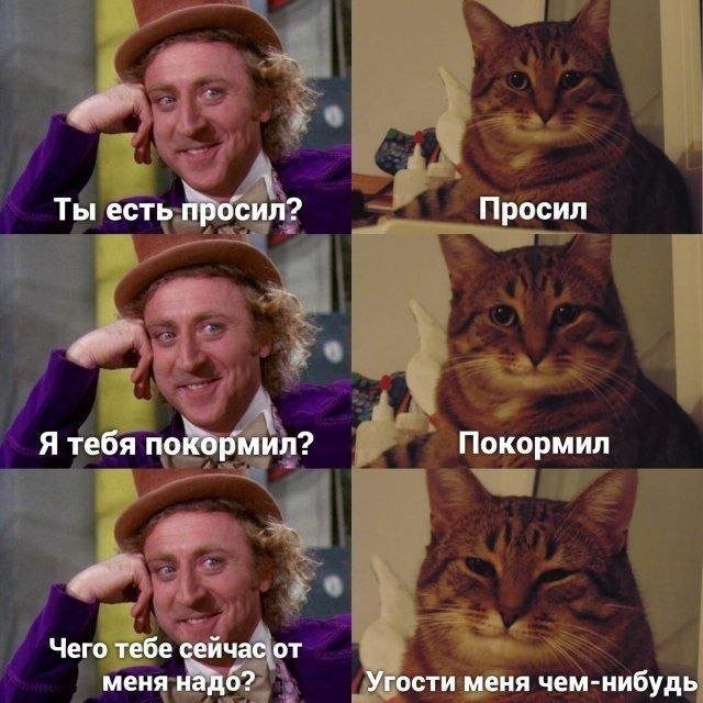 Кот Мем