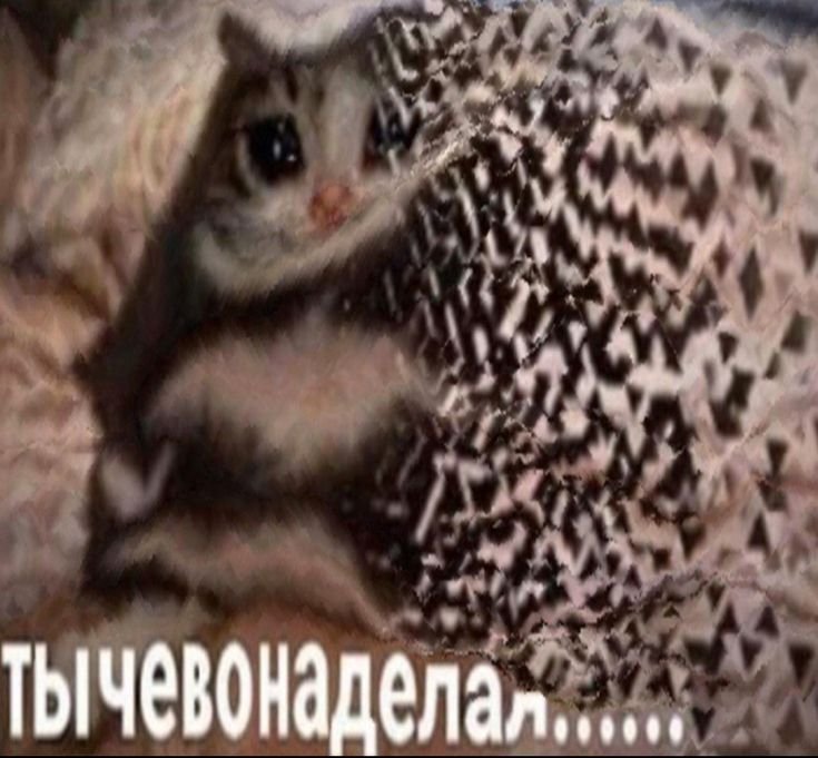 Ты чего наделал Мем