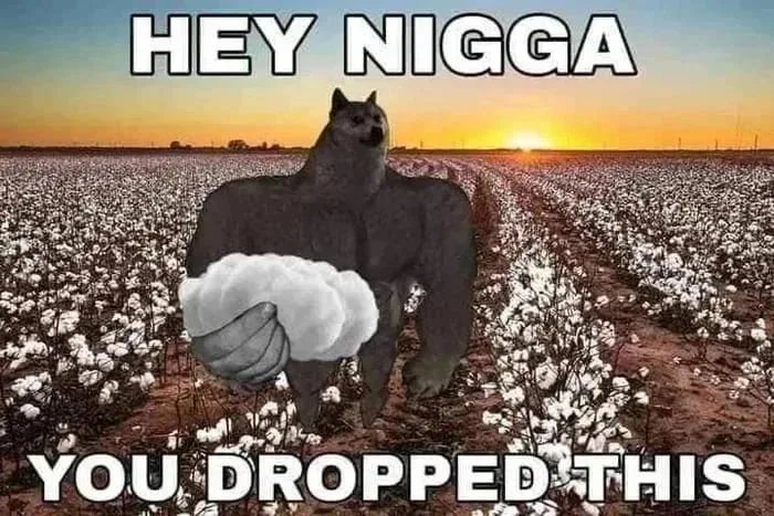 Братский хлопок Мем