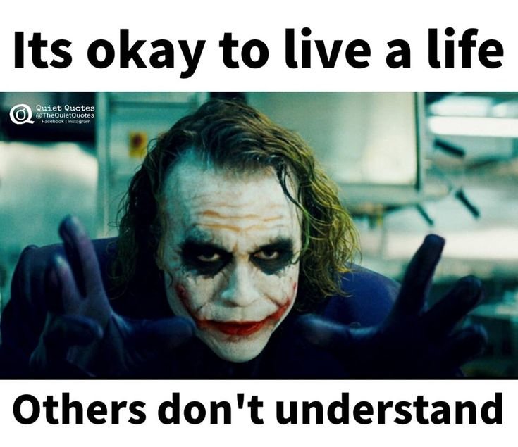 Кот испаряется