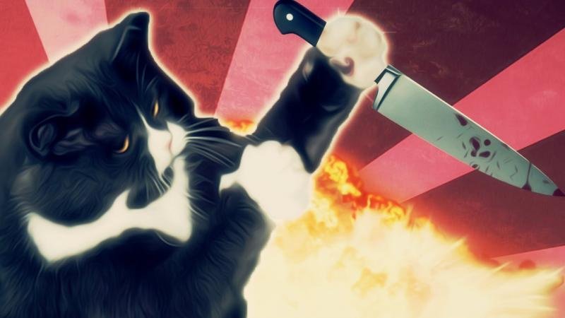 Коты с ножами