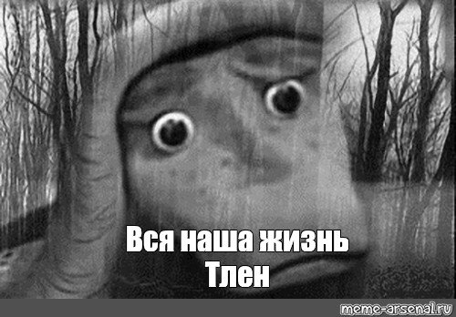 Вся жизнь тлен
