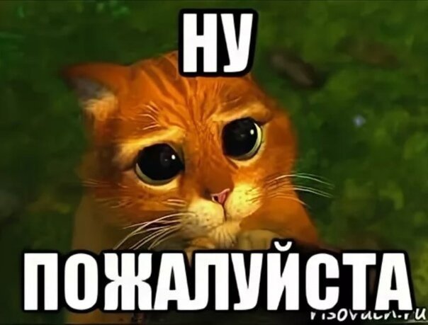 Ну пожалуйста