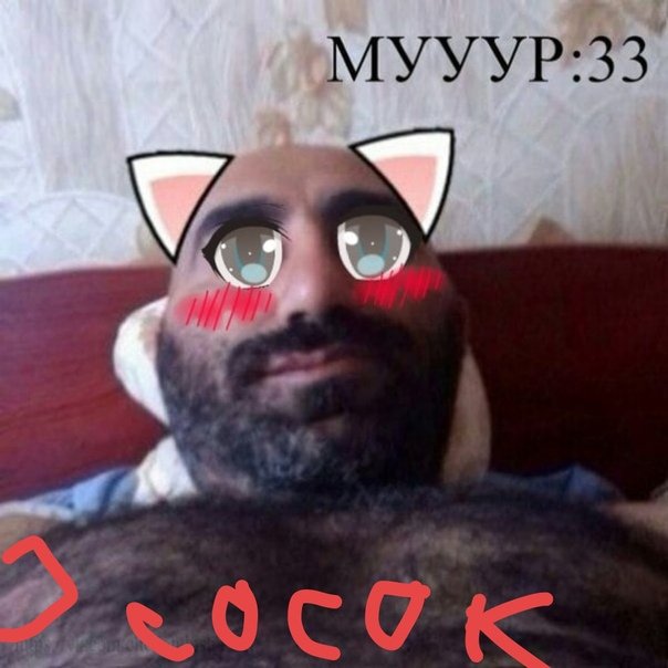 Котик таджик