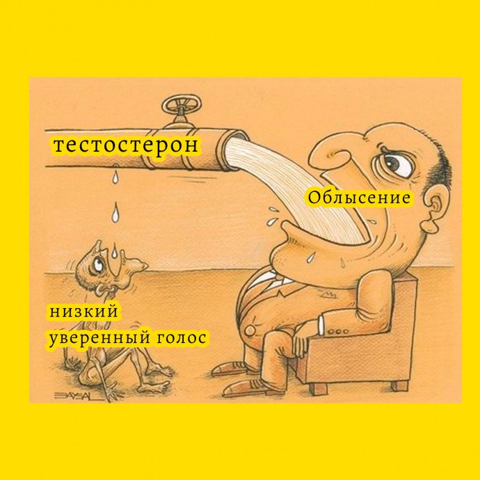 Мемы про тестостерон