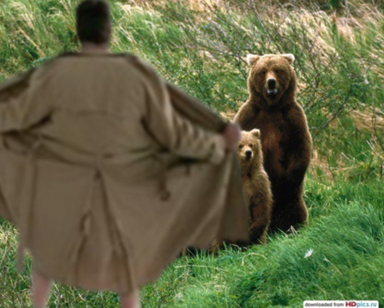 Медведь убегает