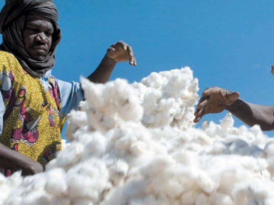 Негры на поле хлопка