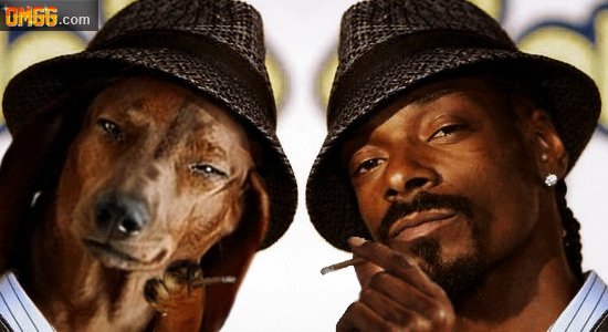 Snoop Dogg собака