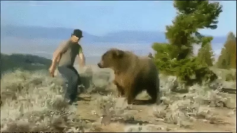 Медведь убегает