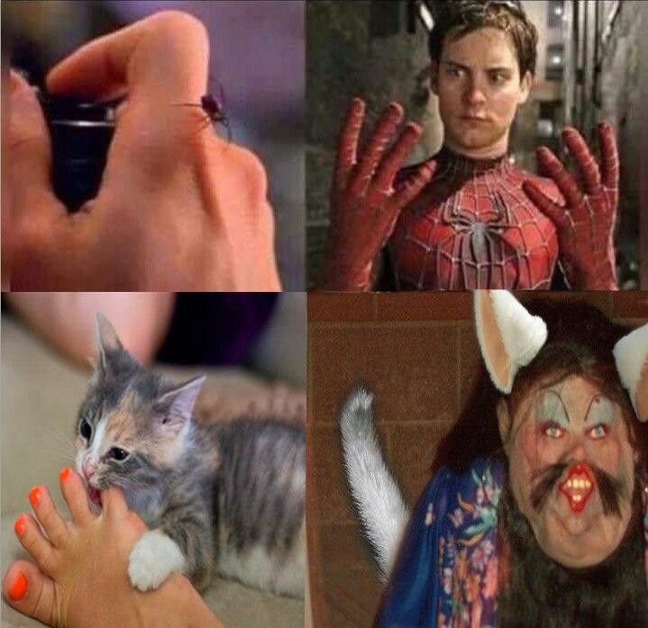 Кот Глеб кот