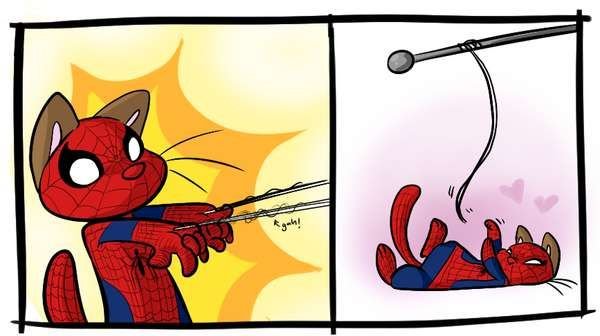 Котик человек паук