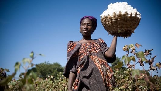 Хлопок в Африке
