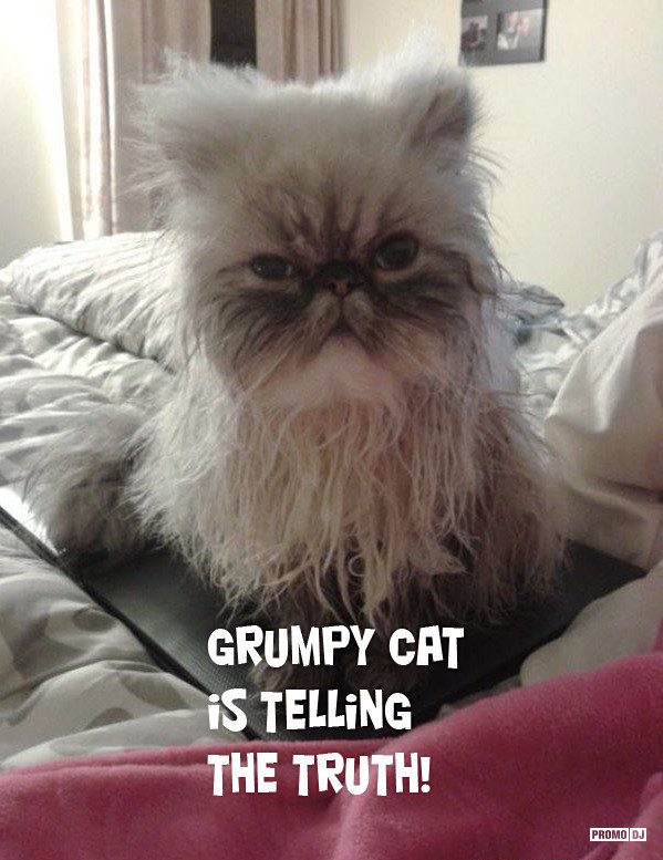 Лохматая с утра