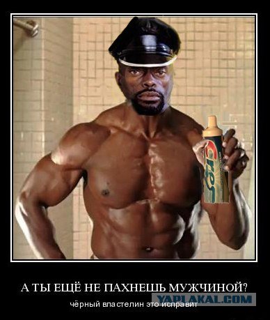 Напитки из черной головик