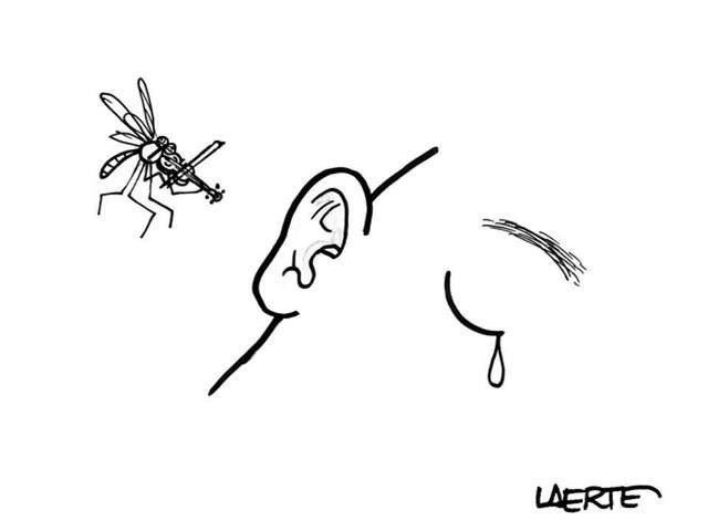 Комар прикольные картинки