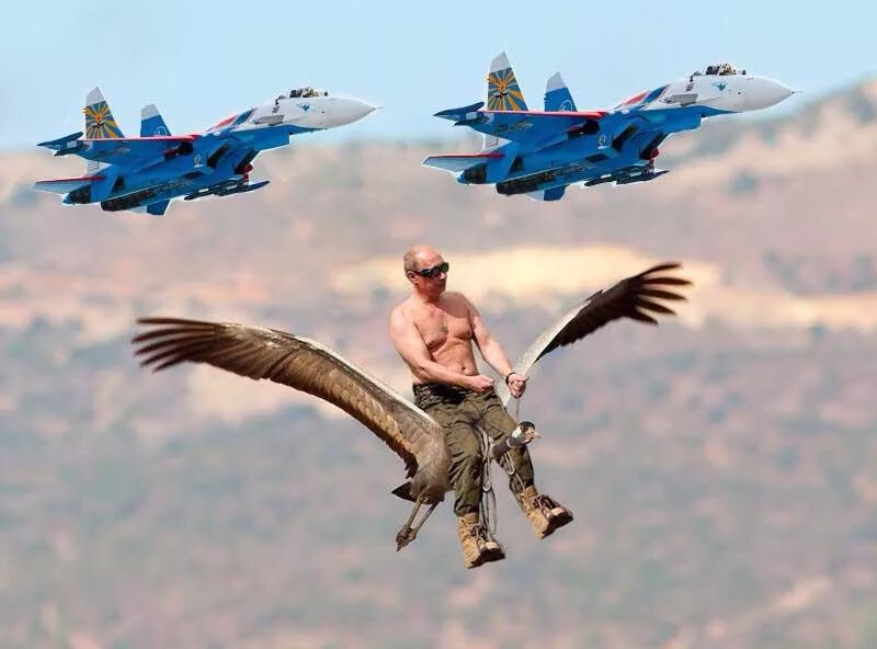 Путин летал с журавлями