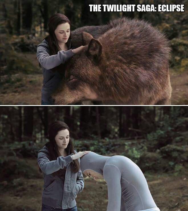 Сумерки оборотень Джейкоб и Белла